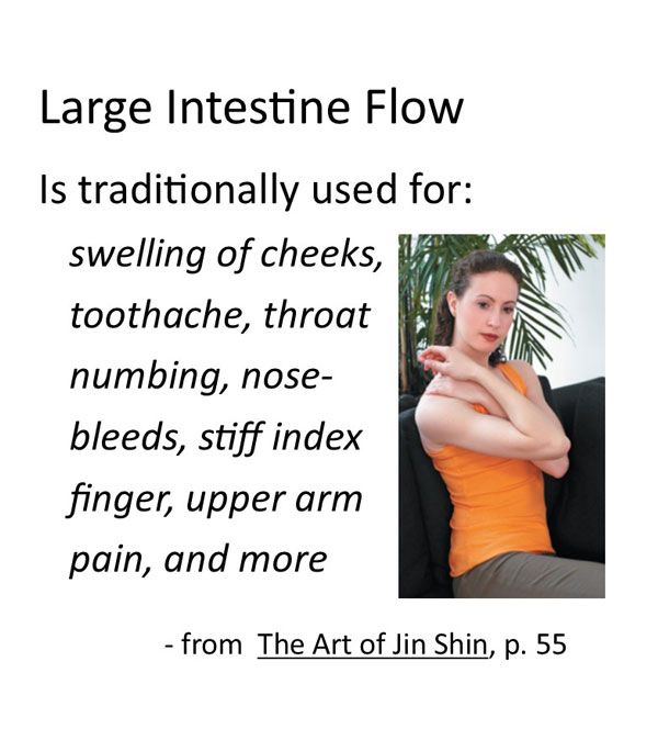 Jin Shin self help Large Intestine Flow video recording